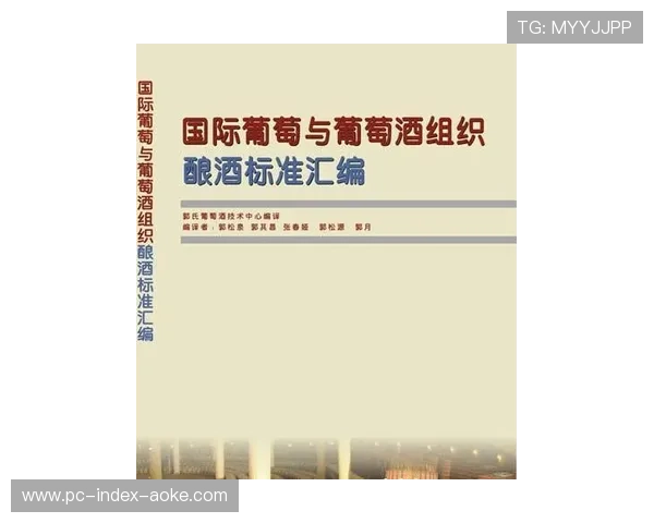 行业标准与国际规范接轨 促进中国技术走出去