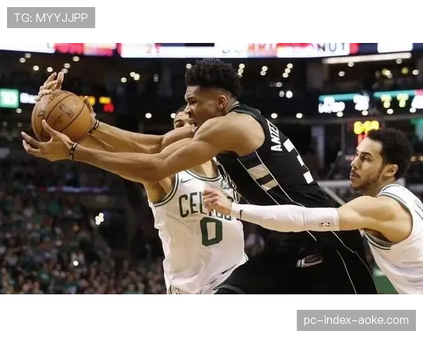 凯尔特人107-79大胜雄鹿，布朗30分13篮板率队送对手五连败