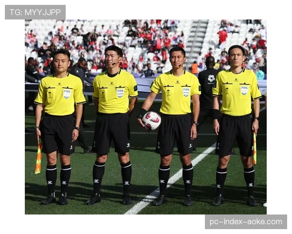 裁判的视角：主裁玛丽安·彼得森讲述执裁奥运决赛的十分钟